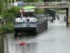 HWK 2012 217_small.jpg